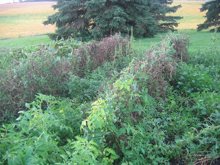 Airing out some dirty laundry