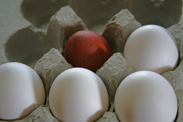 And Now, What We’ve All Been Waiting For…