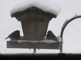 A bit of this…a bit of that