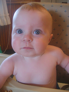 Testosterone in the House…