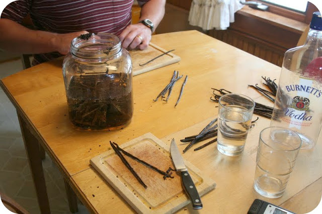 Half Gallon of Cheap Vodka, Please