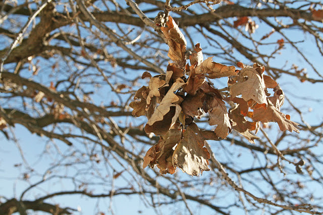 Pretty, Happy, Funny, Real