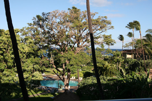 Back! Part 1 of 2 trip details